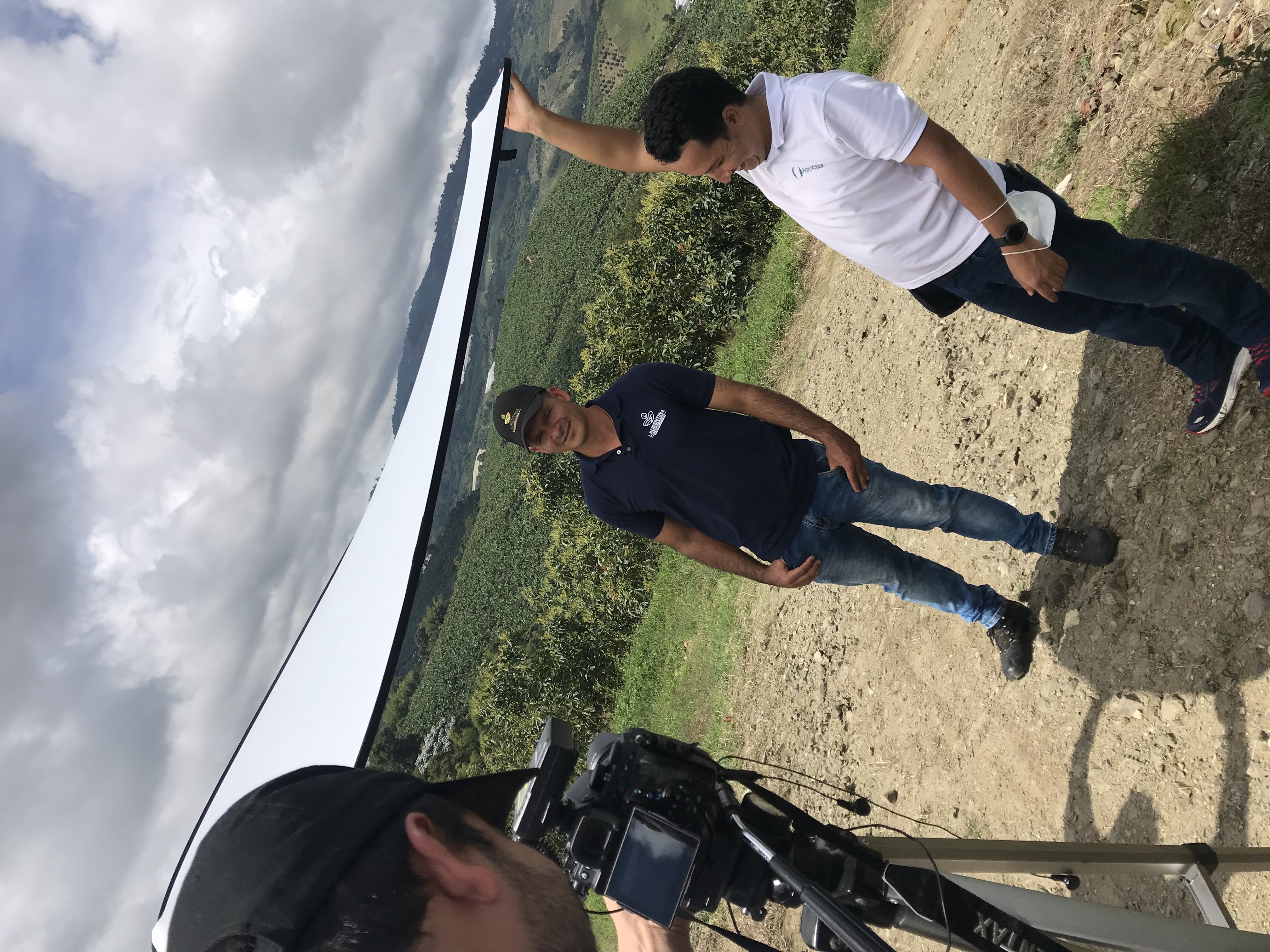 Imagen de la laminilla