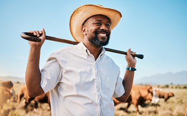 Imagen de la laminilla