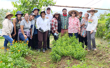 Imagen de la laminilla
