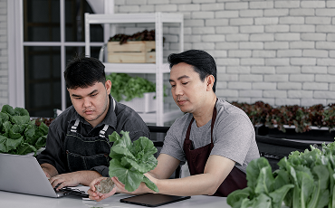 Imagen de la laminilla