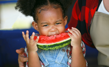 Imagen de la laminilla